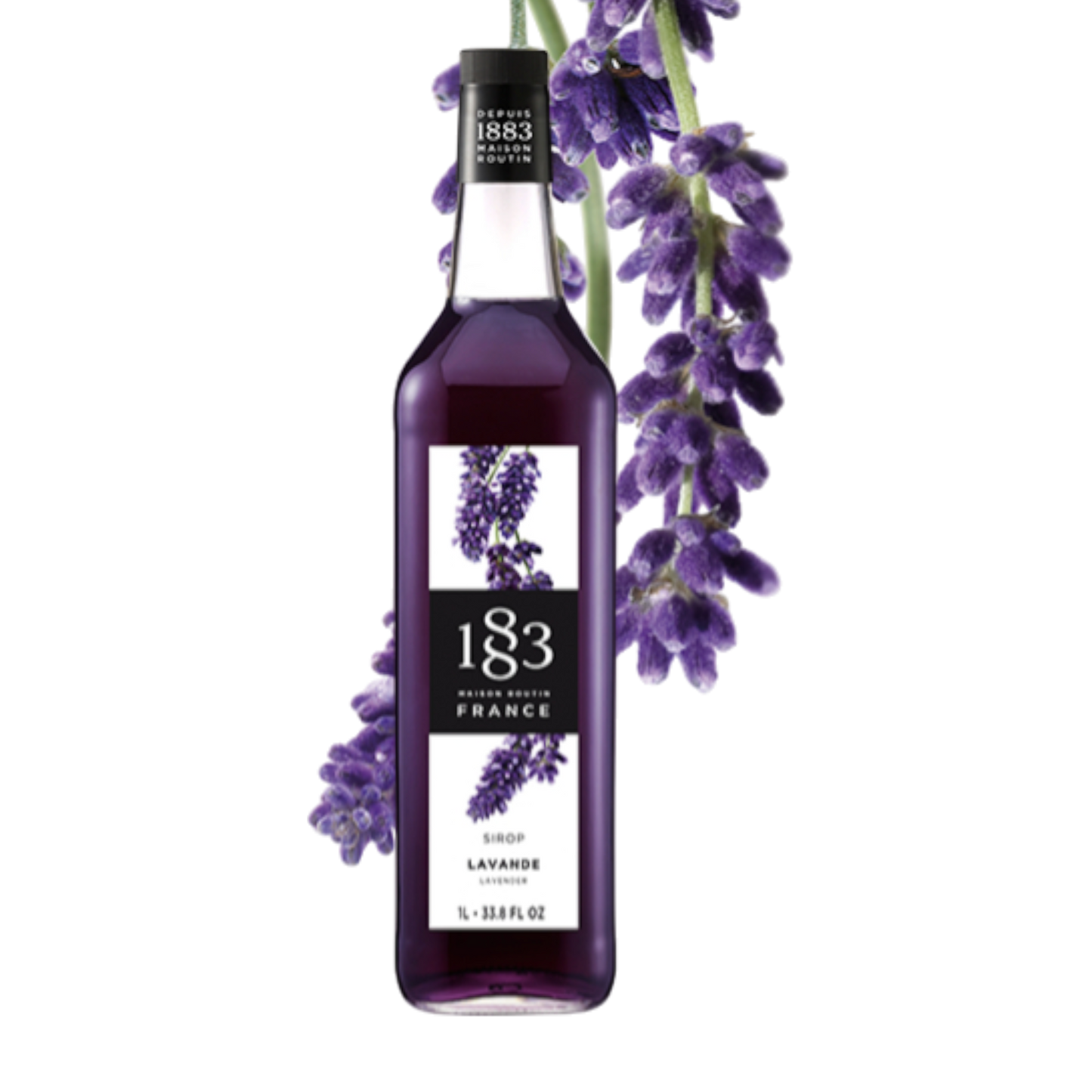 1883 Routin Syrups - Lavender Syrup 1L